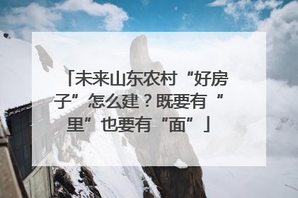 未来山东农村“好房子”怎么建？既要有“里”也要有“面”