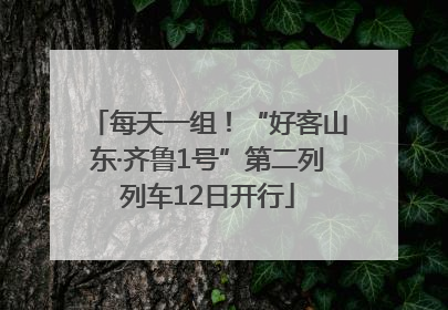 每天一组！“好客山东·齐鲁1号”第二列列车12日开行
