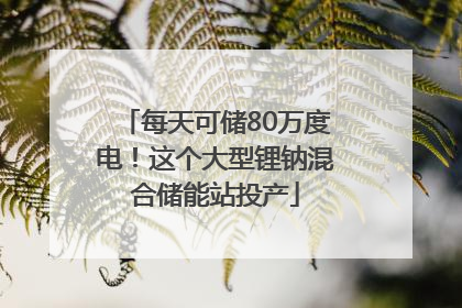 每天可储80万度电！这个大型锂钠混合储能站投产