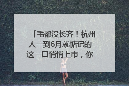 毛都没长齐！杭州人一到6月就惦记的这一口悄悄上市，你打算尝鲜吗？
