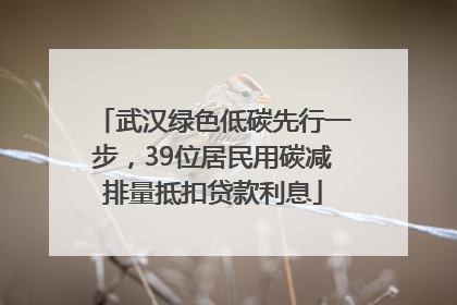 武汉绿色低碳先行一步，39位居民用碳减排量抵扣贷款利息
