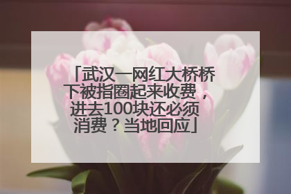 武汉一网红大桥桥下被指圈起来收费，进去100块还必须消费？当地回应