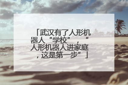 武汉有了人形机器人“学校”，“人形机器人进家庭，这是第一步”