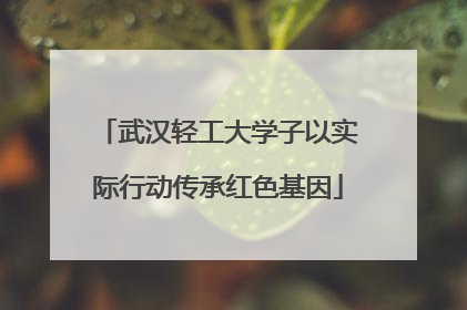 武汉轻工大学子以实际行动传承红色基因
