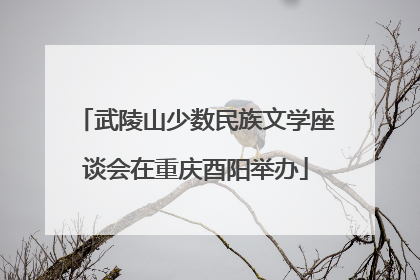 武陵山少数民族文学座谈会在重庆酉阳举办