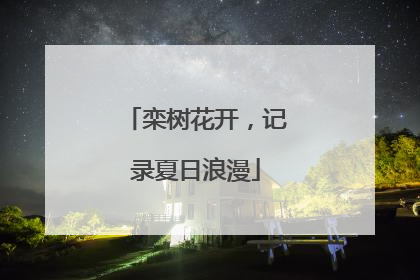 栾树花开，记录夏日浪漫