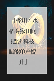 桦川：水稻专家田间把脉 科技赋能单产提升