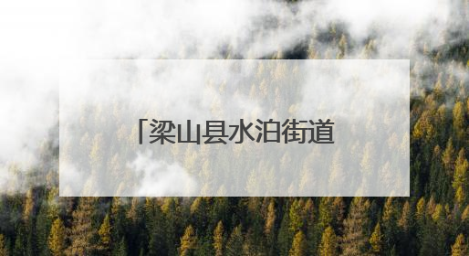 梁山县水泊街道为民服务中心开展惠民政策宣传