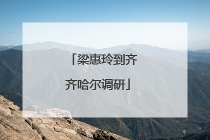 梁惠玲到齐齐哈尔调研
