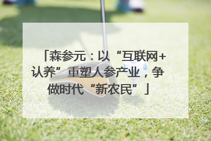 森参元：以“互联网+认养”重塑人参产业，争做时代“新农民”