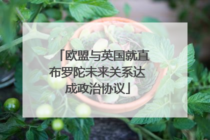 欧盟与英国就直布罗陀未来关系达成政治协议