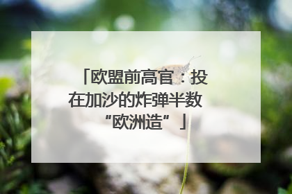 欧盟前高官：投在加沙的炸弹半数“欧洲造”