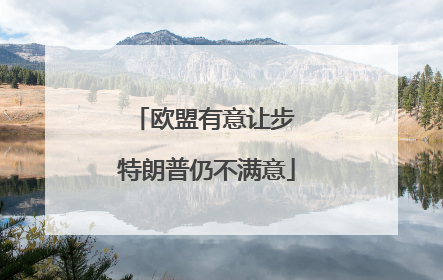 欧盟有意让步 特朗普仍不满意