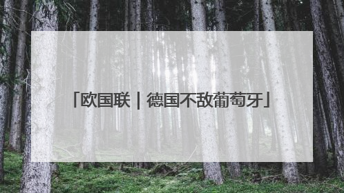 欧国联｜德国不敌葡萄牙