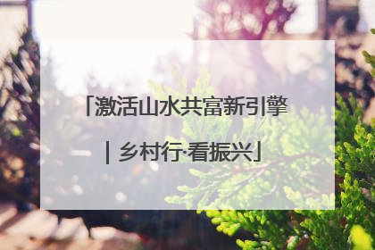 激活山水共富新引擎｜乡村行·看振兴