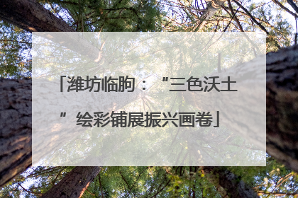 潍坊临朐：“三色沃土”绘彩铺展振兴画卷
