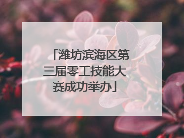 潍坊滨海区第三届零工技能大赛成功举办