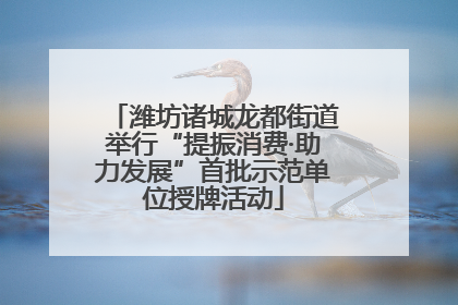 潍坊诸城龙都街道举行“提振消费·助力发展”首批示范单位授牌活动