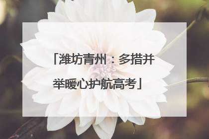 潍坊青州：多措并举暖心护航高考