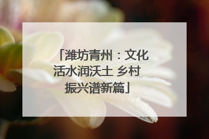 潍坊青州：文化活水润沃土 乡村振兴谱新篇
