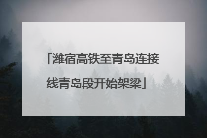 潍宿高铁至青岛连接线青岛段开始架梁