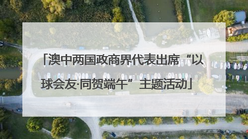 澳中两国政商界代表出席“以球会友·同贺端午”主题活动