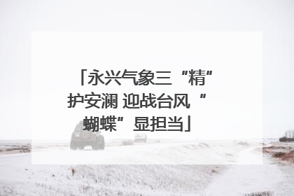永兴气象三“精”护安澜 迎战台风“蝴蝶”显担当
