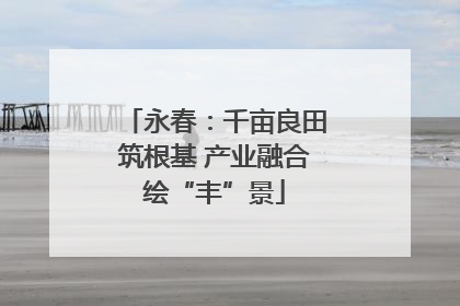 永春：千亩良田筑根基 产业融合绘“丰”景