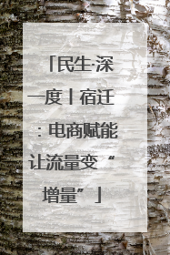 民生·深一度丨宿迁：电商赋能让流量变“增量”