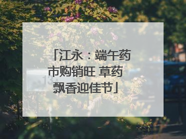 江永：端午药市购销旺 草药飘香迎佳节