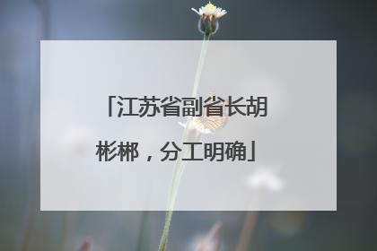 江苏省副省长胡彬郴，分工明确