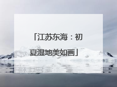 江苏东海：初夏湿地美如画