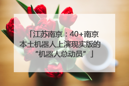 江苏南京：40+南京本土机器人上演现实版的“机器人总动员”