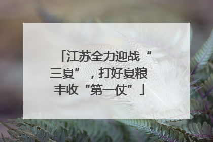 江苏全力迎战“三夏”，打好夏粮丰收“第一仗”