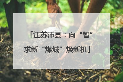 江苏沛县：向“智”求新“煤城”焕新机