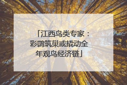 江西鸟类专家：彩鹮筑巢或撬动全年观鸟经济链