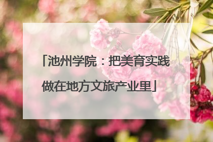池州学院：把美育实践做在地方文旅产业里