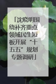 沈晓明围绕补齐重点领域民生短板开展“十五五”规划专题调研