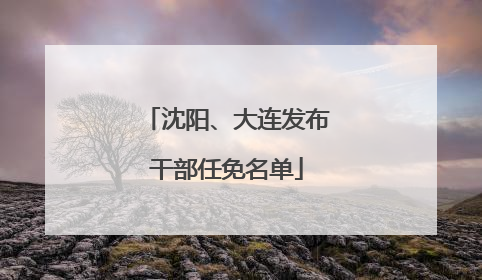 沈阳、大连发布干部任免名单