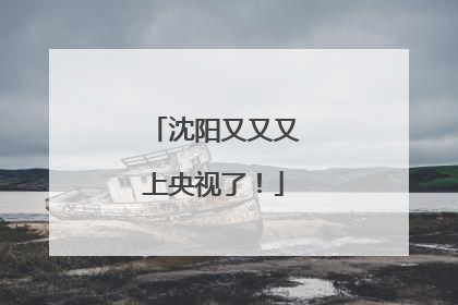 沈阳又又又上央视了！