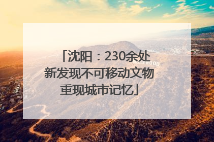 沈阳：230余处新发现不可移动文物重现城市记忆