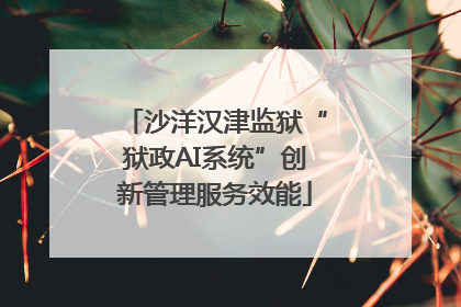 沙洋汉津监狱“狱政AI系统”创新管理服务效能