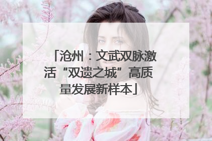 沧州：文武双脉激活“双遗之城”高质量发展新样本