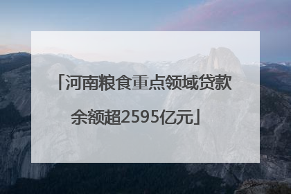 河南粮食重点领域贷款余额超2595亿元