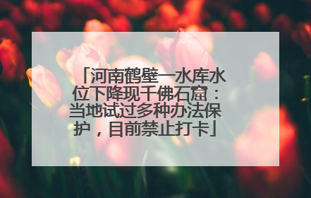 河南鹤壁一水库水位下降现千佛石窟：当地试过多种办法保护，目前禁止打卡