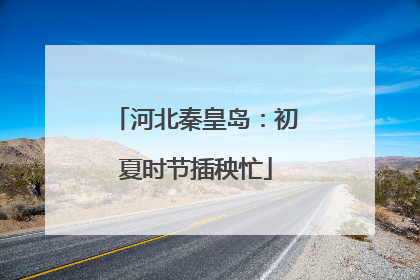 河北秦皇岛：初夏时节插秧忙