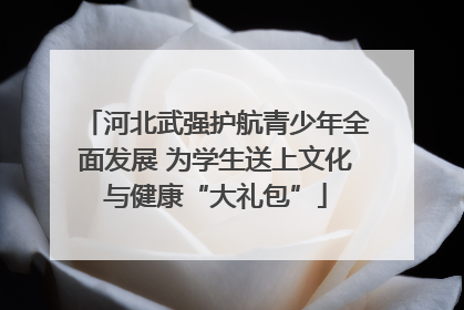 河北武强护航青少年全面发展 为学生送上文化与健康“大礼包”