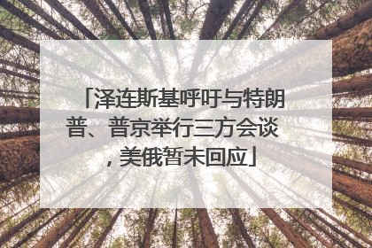 泽连斯基呼吁与特朗普、普京举行三方会谈，美俄暂未回应