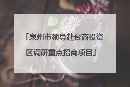 泉州市领导赴台商投资区调研重点招商项目