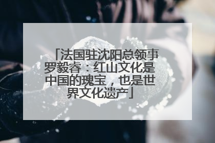法国驻沈阳总领事罗毅睿：红山文化是中国的瑰宝，也是世界文化遗产